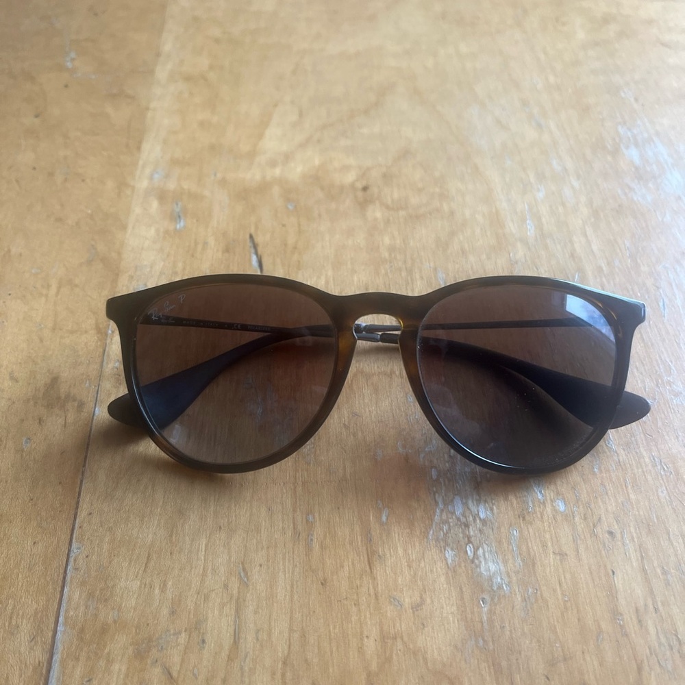 Ray-Ban Erika Sunglasses